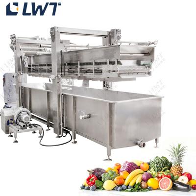 China CE Certified Automatic Vegetable Bubble Washing Machine for sale