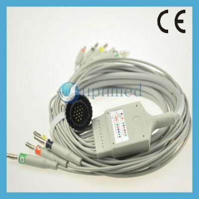 China KENZ PC-104 one-piece 10 Lead EKG cable with leadwires for sale