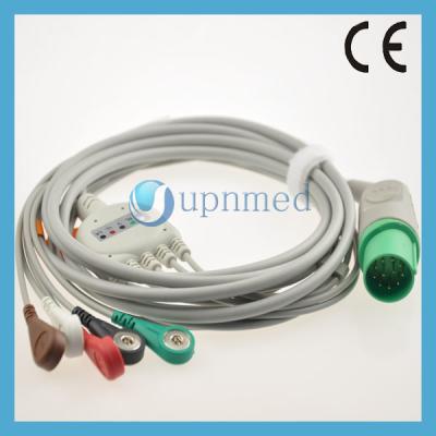 China Nihon Kohden 11pin TEC-5200A ECG cable with 5 lead wires for sale