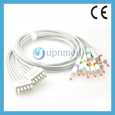 China GE-Marquette Multi-Link 10-lead EKG leadwires for sale