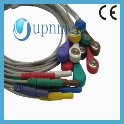 China Holter 10 lead ECG lead wires set for sale