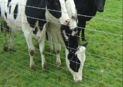 China Os rebanhos animais galvanizados impedem a cerca comum do campo de exploração agrícola do fio da página da dobradiça à venda