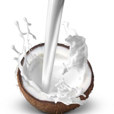 China N32 Bakery Food Coconut Creamy Dairy Powder Non For Solid Beverage Instant Soluble 31% Fat for sale