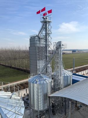 China Multi-Stage Drying Paddy Dryer Machine Uniform Moisture Removal for Optimal Grain Integrity for sale