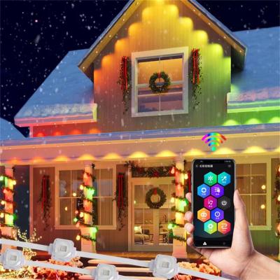 China 10m Luzes LED personalizáveis para projetos de decoração exterior à venda