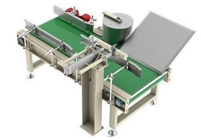 China Case Conveyor Reject System Station Belt Weight Sorter Auxiliary Equipment for sale