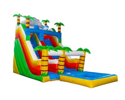 China Aldult Outdoor Rental Inflatable Large Water Slides With Bouncy for sale