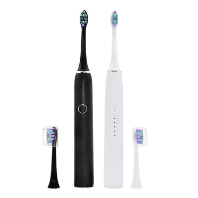 Chine Brosse à dents électrique SN302 nettoyage des dents Brosses à dents avec 2 têtes de brosse à dents à vendre