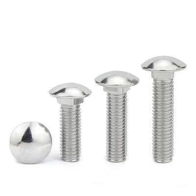 China Round Head Square Neck Bolt Full Thread Flat End 304 Ss for sale