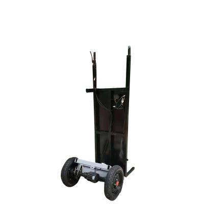 China food & Durable Beverage Plant Power Saving And Noise Reduction Electric Carrier Truck for sale