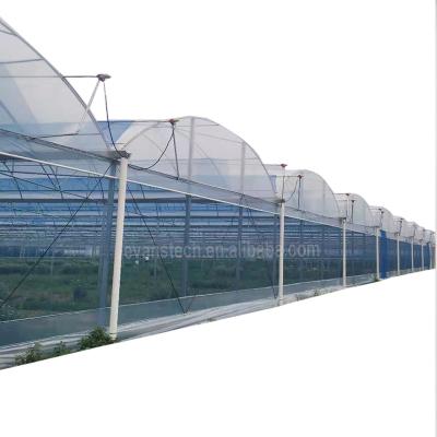 China Easily Assembled Cheap Price Multi Tunnel Used Greenhouse For Agriculture for sale