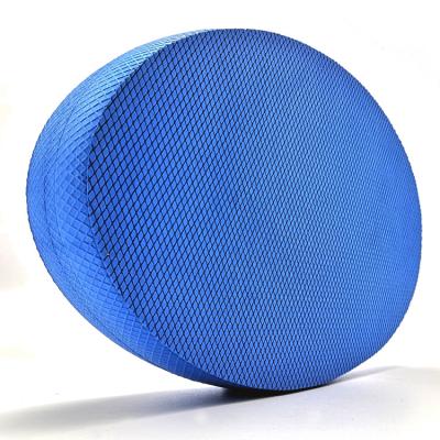 China Oval Band Stability Trainer Foam Cushion Balance Exercise Pad for sale