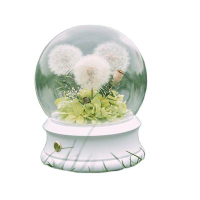 China Dandelion Music Speaker Eternal Flower Gift Box Dandelion Ornament Glass Cover Dried Flower Bouquet for sale