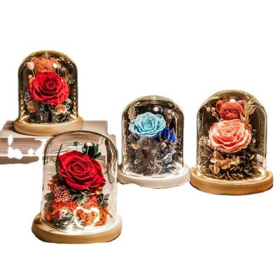China Gift in glass Gift Box Cover Decoration Real Fresh Eternal Preserved Austin Rose Flower Glass Bell Jar for sale