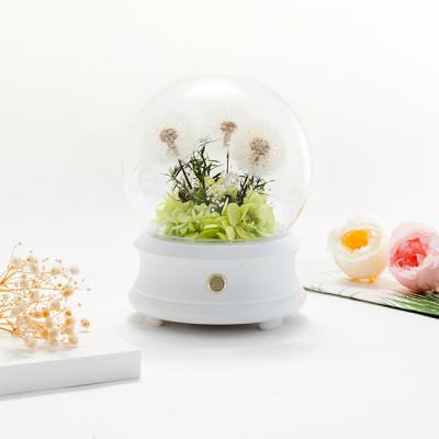China Dandelion Music Speaker Gift Box Eternal Dandelion Flower Preserved Dandelion In Glass Dome Valentine for sale