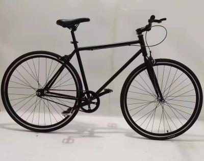 China Road Bike Quality Assured Mens Bicycle 700C Road Bike 21 Speed Roadbike for sale