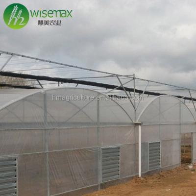 China UV Resistant Large Size Tunnel Greenhouse Agriculture Greenhouses For Hydroponics Agriculture for sale
