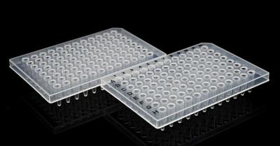 China PCR-Platte 0,2 ml 96-Well-PCR-Reaktionsplatte mit Halbrand zu verkaufen