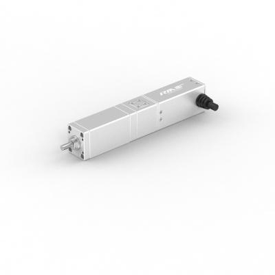 China RobustMotion RM-SLA Series High Precise Straight Electric Linear Actuator With Servo Motor,50/100mm Stroke, IP40 for sale