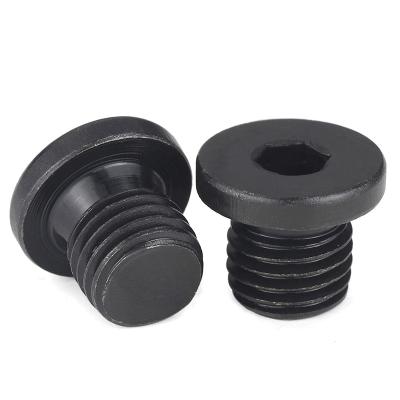 China Industry Hot Sale Carbon Steel Oxidized Black Hex Socket Pipe Plugs With DIN908 Clamp for sale