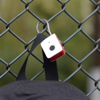 China Zinc Alloy High Security Colorful Waterproof 32mm Fingerprint Smart Padlock for sale