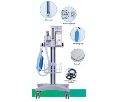 China O2 Veterinary Anesthesia Ventilator 280kPa-600kPa Vet Anaesthetic Machine DM6C for sale