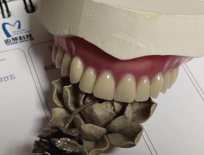 China Het volledige Acryl Gedeeltelijke Gebit van Gebit Permanente Esthetics Te koop
