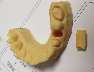 Cina Modello dentario della stampa 3D di alta precisione ISO13485 Trushine in vendita