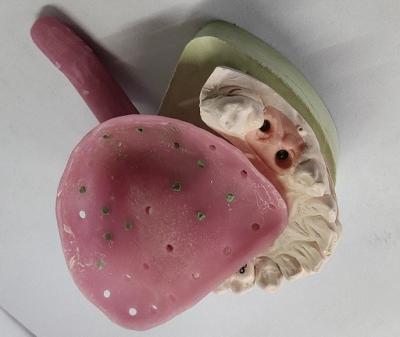 China De Douanedienbladen van Trushinepremade voor Gebitten Andere Tandproducten Te koop