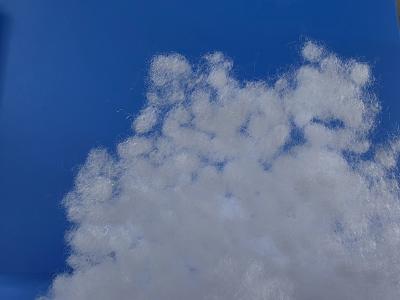 China Plant Fibre Polyester Fiber Batting Nandina Fiber Cotton Dacron Batting For Garment for sale