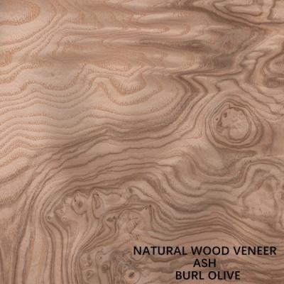 China Inusual madera de ceniza blanca natural veneer burl oliva AA grado para pared de cubierta de espesor 0,5 mm en venta