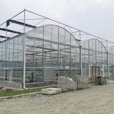 China Hydroponics Tomato Cucumber Flower Film Arch Automatic Multispan Glass Greenhouse for sale