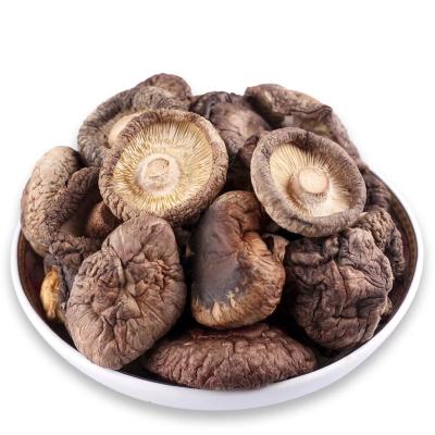 Chine Champignons bruns secs à haute teneur en protéines à vendre