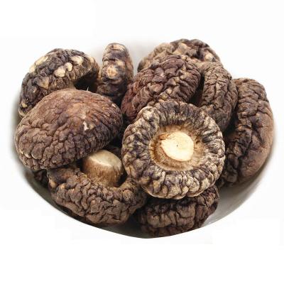 Chine Champignon shiitake plat brun déshydraté avec une odeur champignonneuse intense à vendre