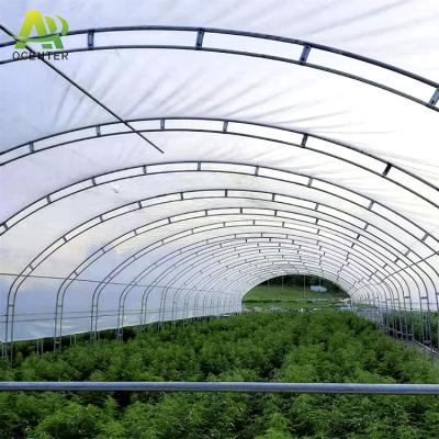 China Green House Producers Vegetable Flowers Single-span Agricultural Plastic Film Tunnel for sale