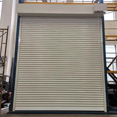 China New Modern Design Insulated Industrial Windproof Metallic Rolling Door for sale