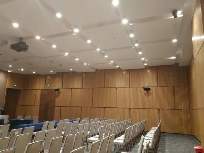 Cina Sala conferenze pannelli di parete in legno a rivestimento lineare a scanalatura in vendita