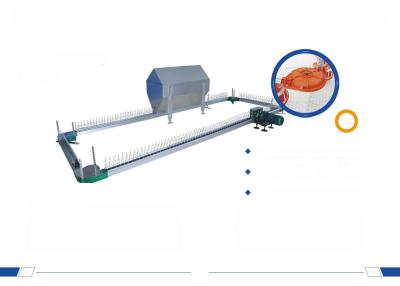 China Easy Install Broiler Chicken Cage Breeder feeding System for sale