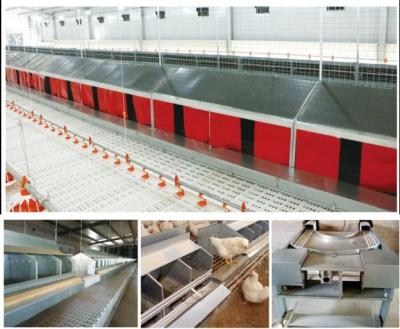 China Einfache Bedienung Automatische Geflügelfarm Automatisches Legehest zu verkaufen