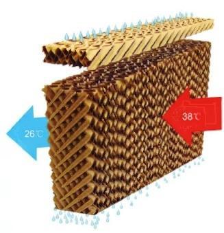 China Automatisches Geflügelhaus-Gerät 3m/3pan 3m/4pan Hühnerstall -Hochfestigkeits-Nassvorhang zu verkaufen