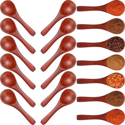 China Natureza Mini Tasting Condiments Salt Spoon de madeira para a cozinha que cozinha 30 partes à venda