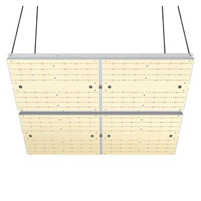 China FLOWER Horticulture Tent Plants Growing Lamp 480w Waterproof Led Grow Light Panel For Flower Greenhouse for sale