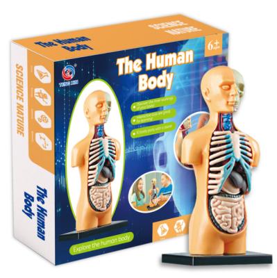 China New Arrival Plastic Puzzle Jigsaw Intelligence Enlightenment The Human Body Science Education Toys for sale