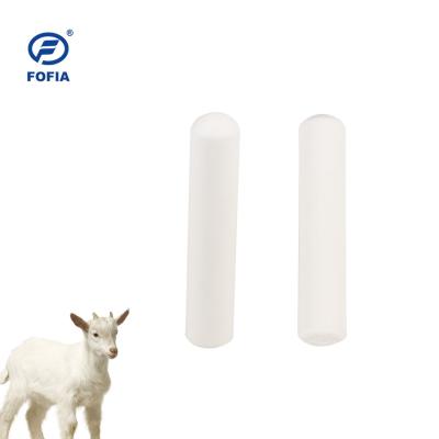 中国 動物識別 Eartag 牛 Rfid ボルス タグ 134.2khz 販売のため