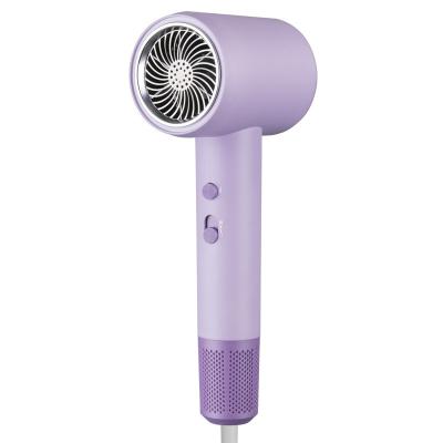 中国 2000W 紫色 高速 青色 負イオン リバー ヘアドライヤー 家庭用温度調節可能 販売のため