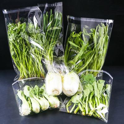 China Recyclable Clear Reusable Self Film Stand Up Pouch Transparent Bag For Food Vegetable Snack Nut Packaging for sale