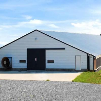 China Safety Steel Structure Chicken House Lightweight Steel Frame Building for sale
