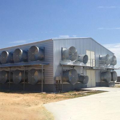 China Modern Lightweight Metal Frame Building Poultry Farm Structure for sale