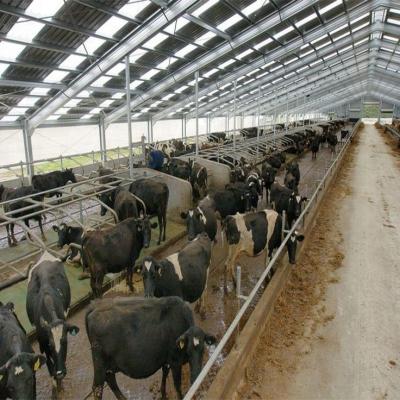 China Easy Install Modern Cattle Shed , Prefabricated Metal Farm Barns for sale