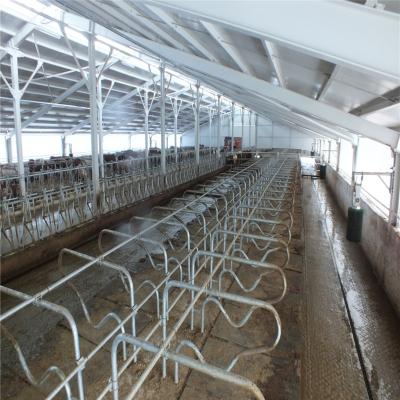 China Steel Frame Prefabricated Goat Shed Q235B Q355B Steel Factory Shed for sale